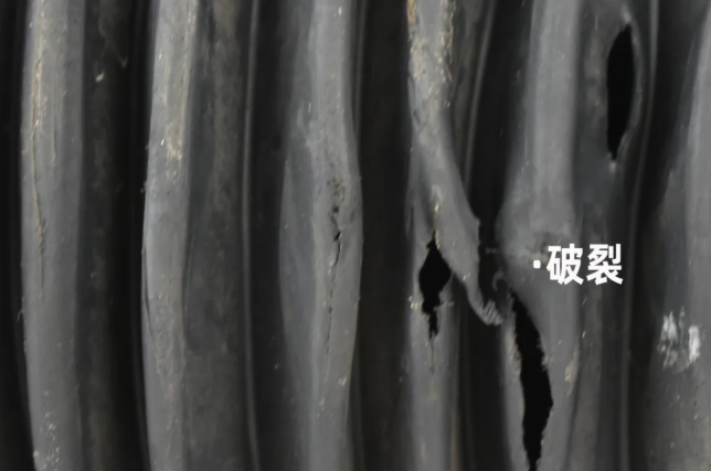 http://www.rmrchh.com.cn/Upload/ueditor/1744248093706159.png