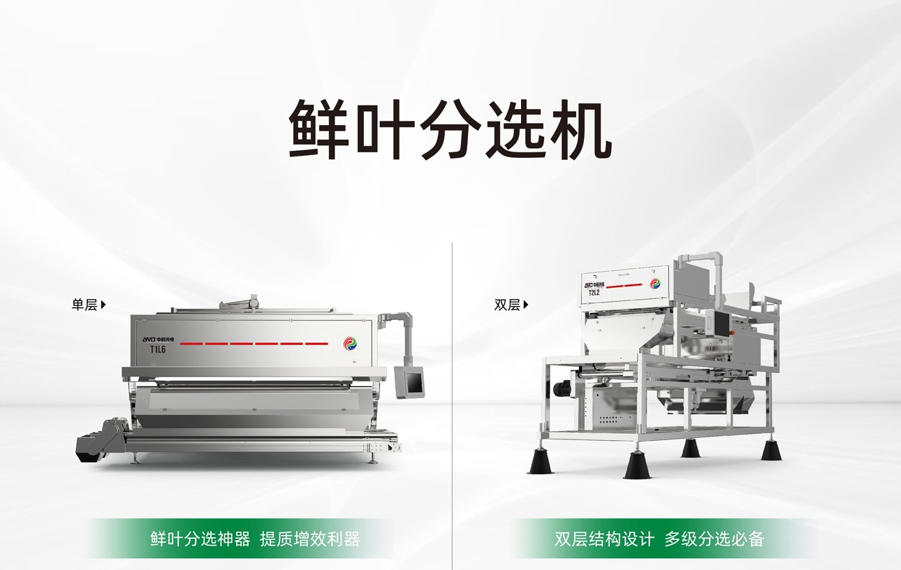 http://www.rmrchh.com.cn/Upload/ueditor/1747984764254801.jpg