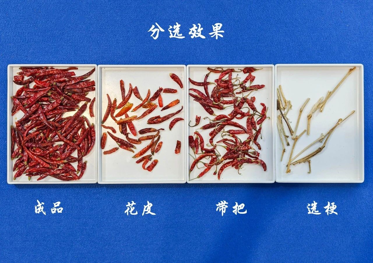 http://www.rmrchh.com.cn/Upload/ueditor/1748584420848915.jpg